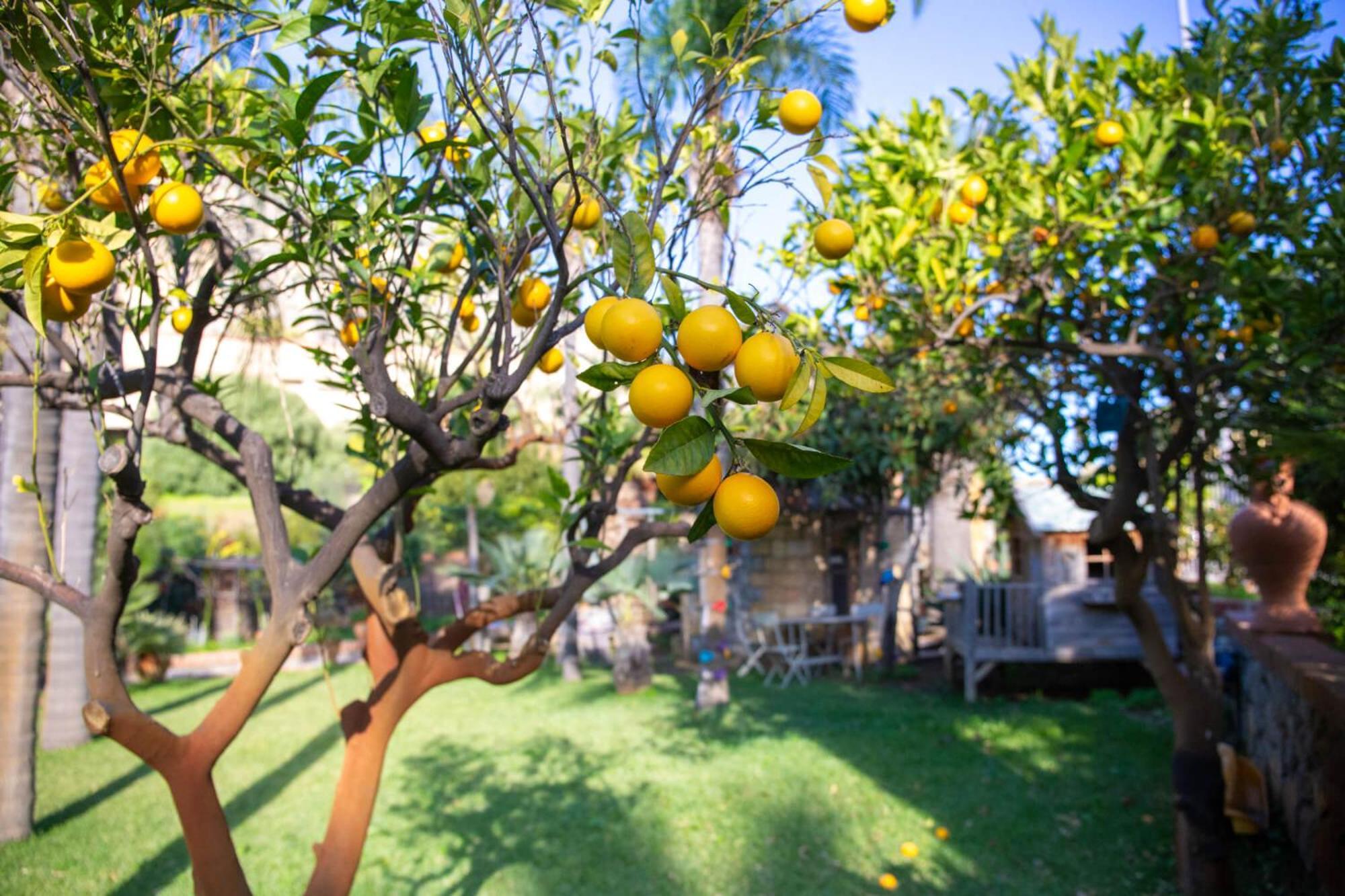 Villa Caterina - Solemar Sicilia Cefalu Bagian luar foto